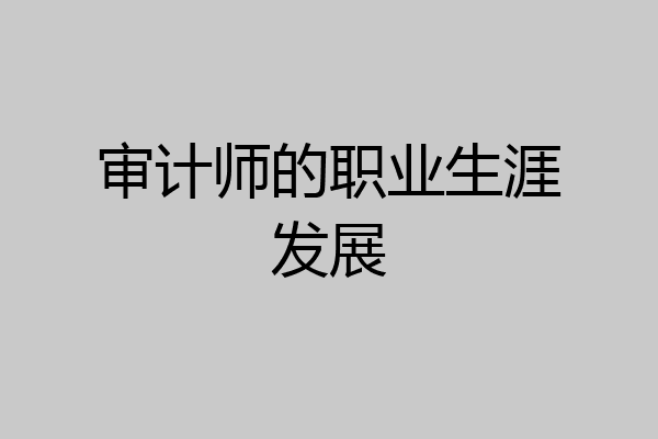 审计师的职业生涯发展