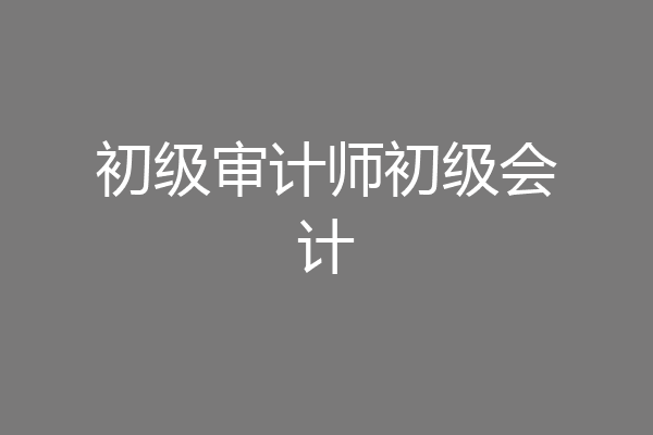 初级审计师初级会计