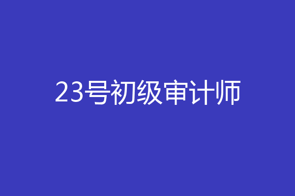 23号初级审计师