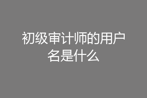 初级审计师的用户名是什么