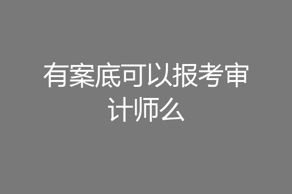 有案底可以报考审计师么