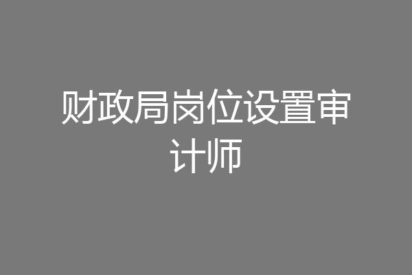 财政局岗位设置审计师