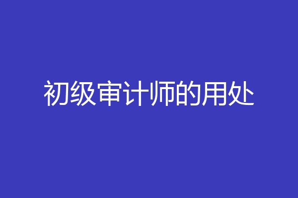 初级审计师的用处