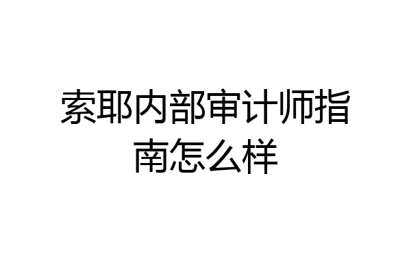 索耶内部审计师指南怎么样