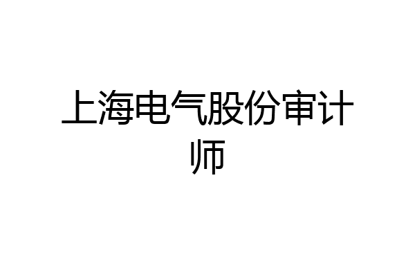 上海电气股份审计师