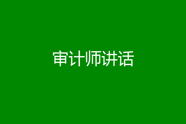 审计师讲话