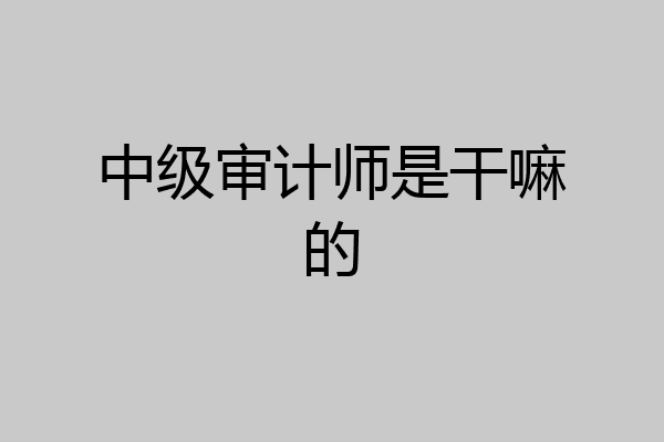 中级审计师是干嘛的