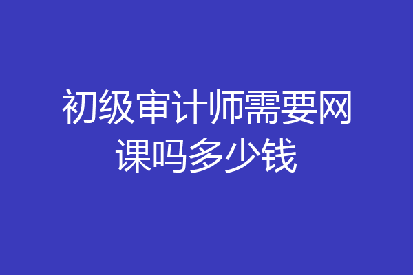 初级审计师需要网课吗多少钱
