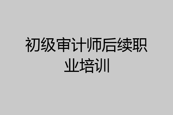 初级审计师后续职业培训