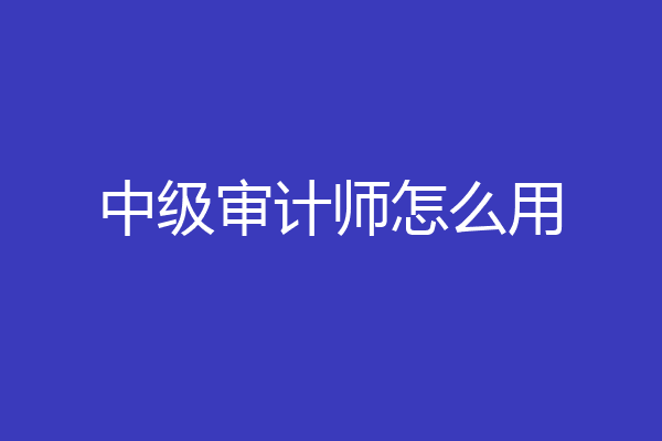 中级审计师怎么用