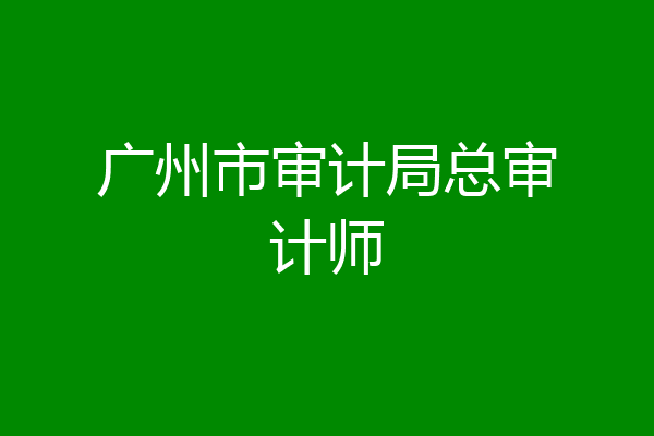 广州市审计局总审计师