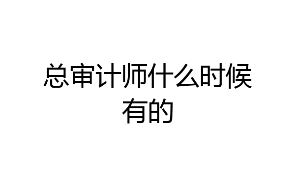 总审计师什么时候有的