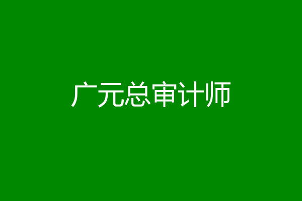 广元总审计师