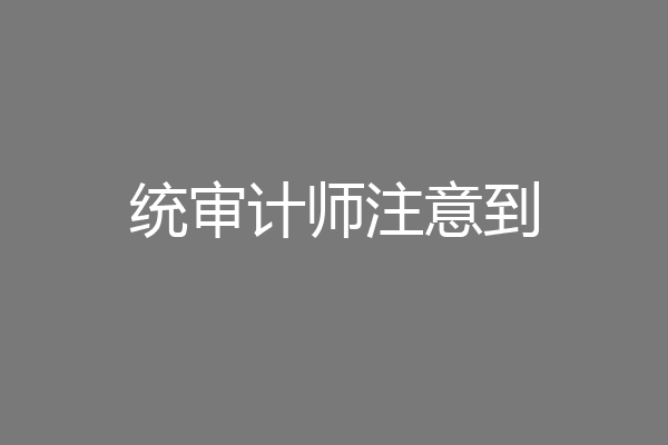 统审计师注意到