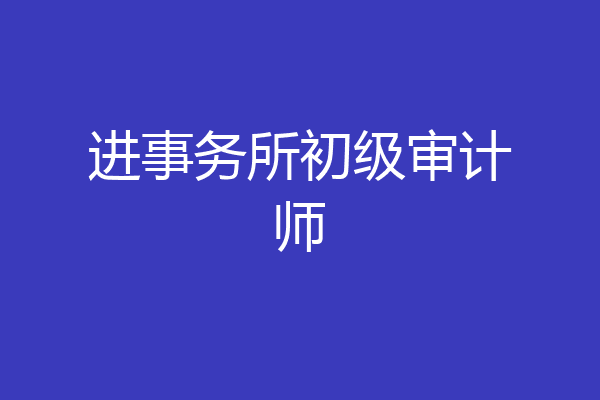 进事务所初级审计师