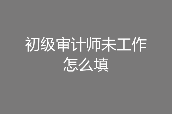 初级审计师未工作怎么填