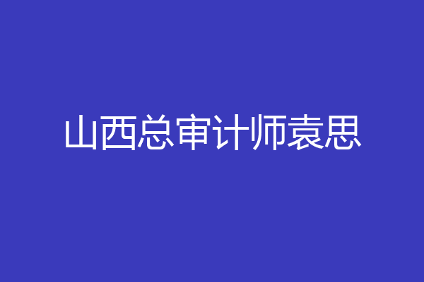 山西总审计师袁思