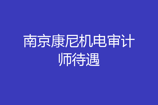 南京康尼机电审计师待遇