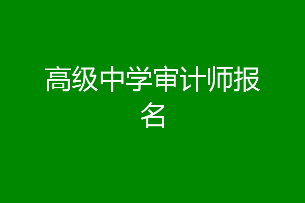 高级中学审计师报名