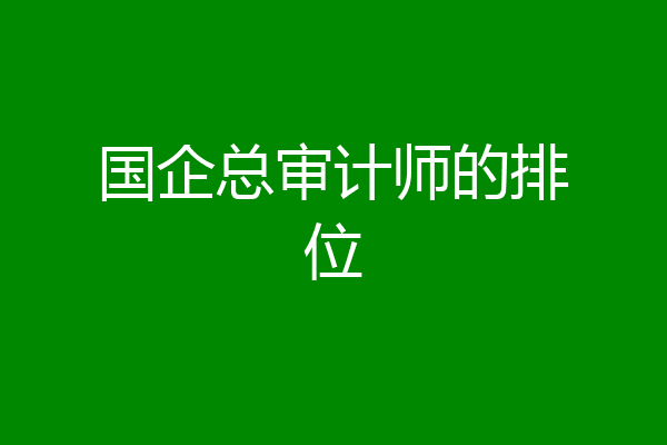 国企总审计师的排位