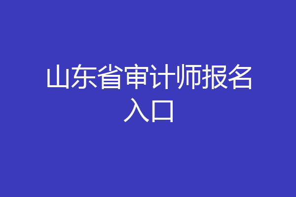 山东省审计师报名入口