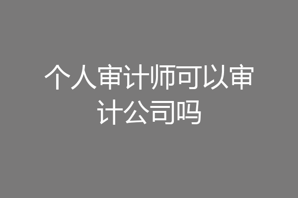 个人审计师可以审计公司吗