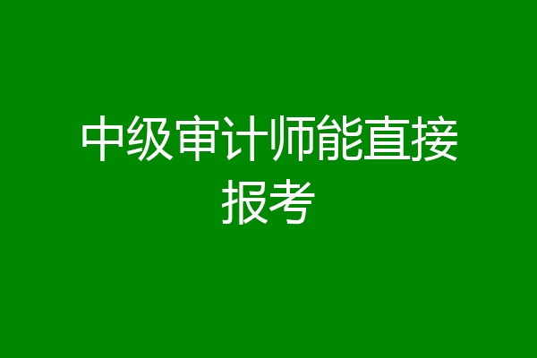 中级审计师能直接报考