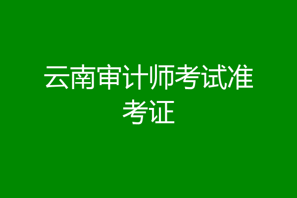 云南审计师考试准考证