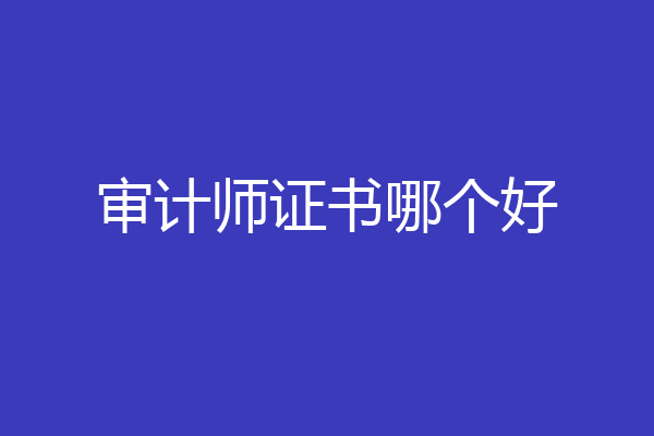 审计师证书哪个好