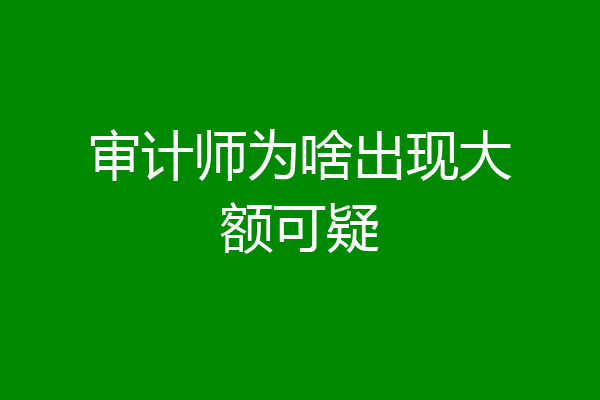 审计师为啥出现大额可疑