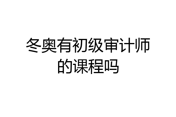 冬奥有初级审计师的课程吗