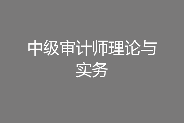 中级审计师理论与实务
