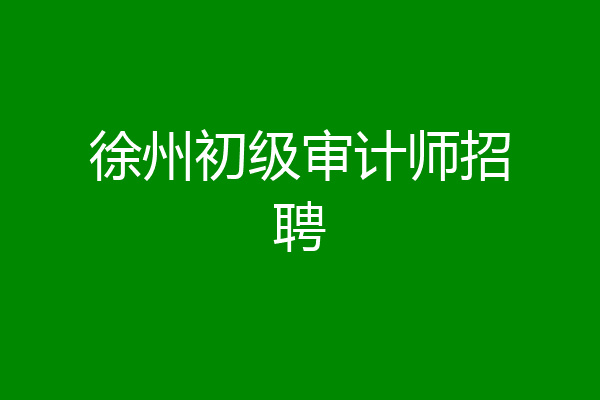 徐州初级审计师招聘