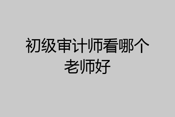初级审计师看哪个老师好