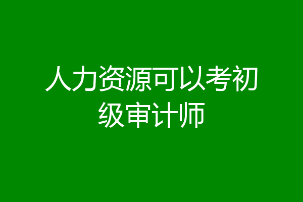 人力资源可以考初级审计师