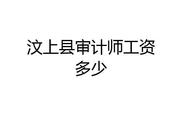 汶上县审计师工资多少