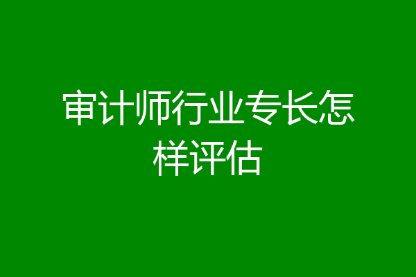 审计师行业专长怎样评估