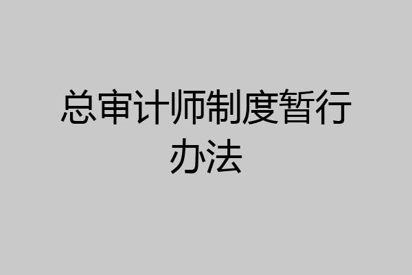 总审计师制度暂行办法