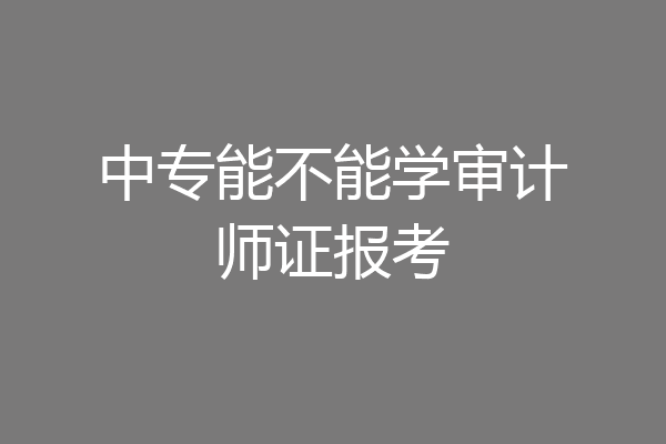中专能不能学审计师证报考
