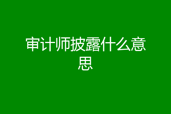 审计师披露什么意思