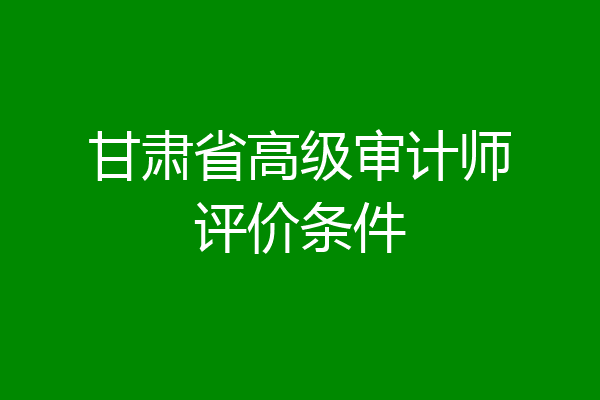 甘肃省高级审计师评价条件