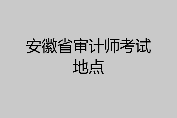 安徽省审计师考试地点