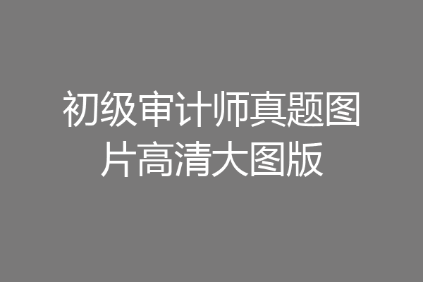 初级审计师真题图片高清大图版