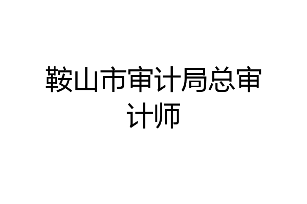鞍山市审计局总审计师