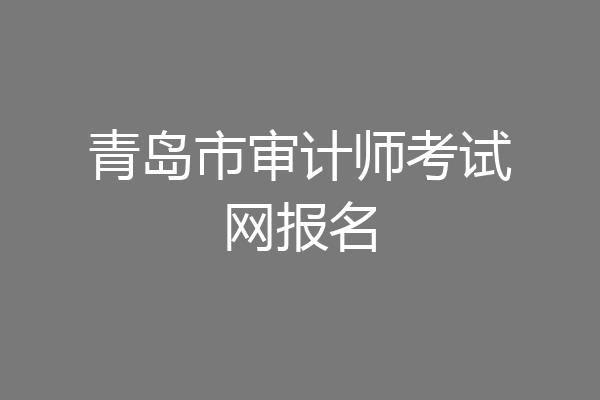 青岛市审计师考试网报名