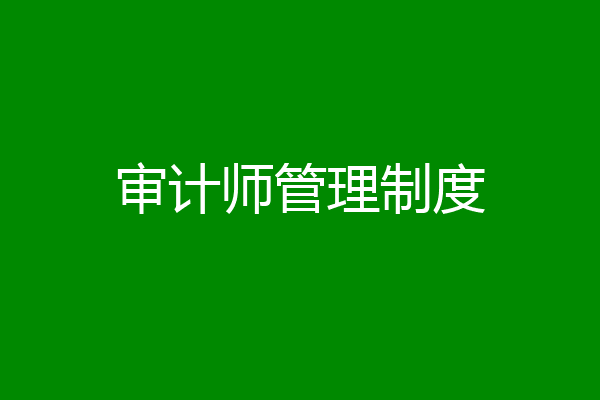 审计师管理制度