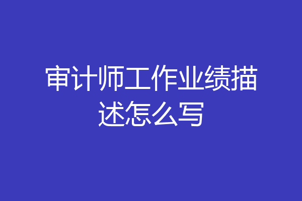 审计师工作业绩描述怎么写