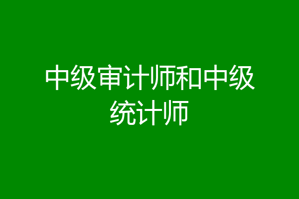 中级审计师和中级统计师