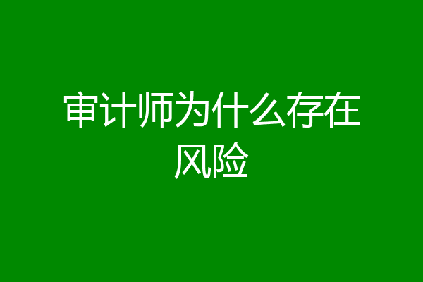 审计师为什么存在风险