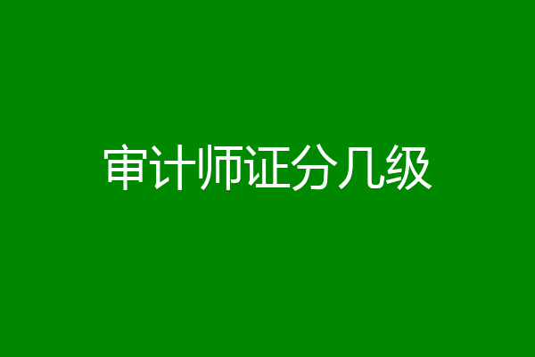 审计师证分几级